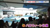「のとじま水族館」多くの家族連れでにぎわう ハロウィーン仕様のイルカショーも 石川・七尾市|TBS NEWS DIG