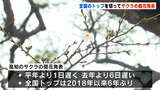 2024年のサクラ最速開花発表は高知！全国トップは2018年以来6年ぶり|TBS NEWS DIG