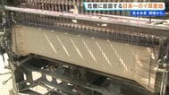 「復興ではなく復活」熊本地震と去年の大雨被害から再起へ 危機に直面する国内9割のイ草産地 熊本地震まもなく1か月【 現場から、】|TBS NEWS DIG