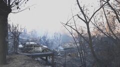 南米チリ・森林火災で46人死亡　“エルニーニョ現象”影響で高温・乾燥続き各地で森林火災おそれ| TBS CROSS DIG with Bloomberg