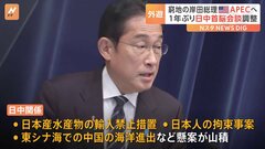 実現すれば約1年ぶりの日中首脳会談　支持率低迷の岸田総理に中国側が強気の姿勢で臨む可能性も| TBS CROSS DIG with Bloomberg