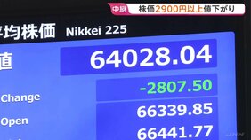 「売りが売りを呼ぶ展開」日経平均株価が一時2900円以上値下がり　およそ1か月ぶりに6万4000円を割り込む　午前終値6万3896円|TBS NEWS DIG