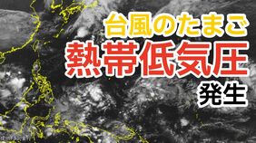 【台風情報】3連休の天気はどうなる?「爆弾低気圧」に加えて「熱帯低気圧=台風のたまご」も発生 雨風シミュレーション【気象庁発表 31日午後9時更新】 |TBS NEWS DIG