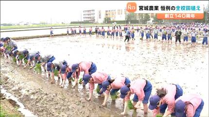 宮城農学校 古写真 生写真　 歴史資料 骨董　２７枚　農業　教育資料 宮城農学校 古写真 生写真 歴史資料 骨董 27枚 農業 教育資料
