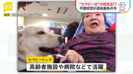 新入生は「セラピードッグ」…苦手を乗り越える子犬と子どもたちの1か月