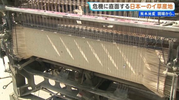 「復興ではなく復活」熊本地震と去年の大雨被害から再起へ 危機に直面する国内9割のイ草産地 熊本地震まもなく1か月【 現場から、】|TBS NEWS DIG