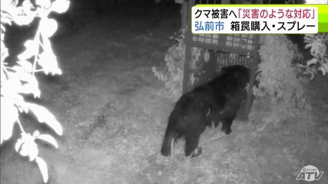 「災害のような対応をしなければ」クマへの対策強化に関わる補正予算400万円を発表 『箱わな』の購入経費の補助引き上げや全小中学校への『撃退スプレー』配備など 青森県弘前市|TBS NEWS DIG