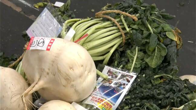 「最後の思い出」閉校する桜島の小学生が作った桜島大根が競り　ギネス認定『世界で一番大きい大根』|TBS NEWS DIG