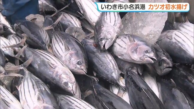 「やっと持って来られてほっと…」小名浜港でカツオ初水揚げ　原油高など影響、1か月遅く　福島・いわき市|TBS NEWS DIG