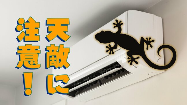 暑くなってからでは遅い！ エアコン修理は6月～8月に集中、「2週間待ち」が3割以上　早めの点検を！ 沖縄は “天敵” にも注意|TBS NEWS DIG