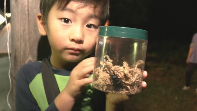 光に誘われ集まった昆虫を子どもら30人が観察　岐阜県飛騨市でナイトツアー|TBS NEWS DIG