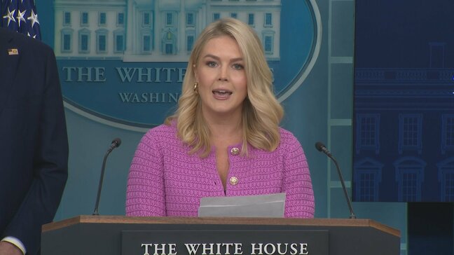 トランプ政権「前のバイデン政権の経済失政のなごり」と主張 1-3月の米GDP 3年ぶりマイナス成長で|TBS NEWS DIG