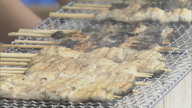 「うなぎサミット」開催　うな丼・うなぎ串・うなぎバーガーなどが楽しめる…愛知県内有数の“うなぎの産地”豊橋市|TBS NEWS DIG