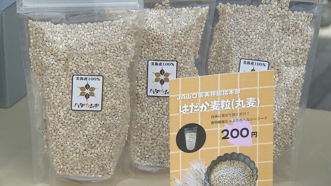 生徒が考案のコロッケやワッフルを販売　はだか麦の消費拡大を目指す　山口・美祢|TBS NEWS DIG