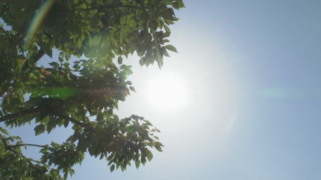 長野県内は午前中から30度超え！松本で35度の猛暑日予想…長野33度　諏訪・飯田が31度　各地で真夏日の見込み|TBS NEWS DIG