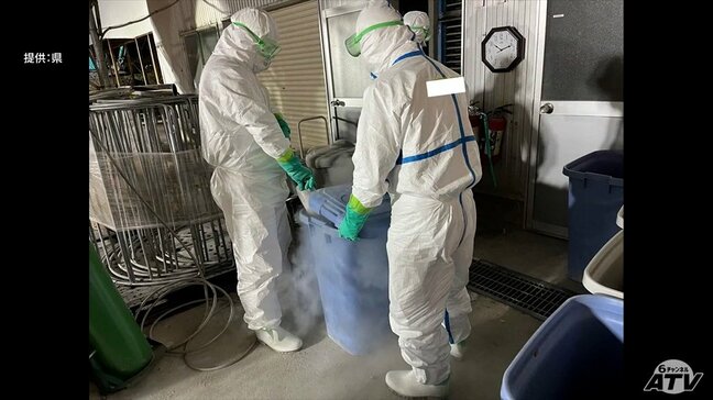 防疫措置 1日前倒しの5月1日に完了へ 東北町の養鶏場で発生の「高病原性鳥インフルエンザ」当初の想定より作業進む 県養鶏協会は今回の感染は「異例」と指摘「本当にびっくりした」「まさかいまか」|TBS NEWS DIG