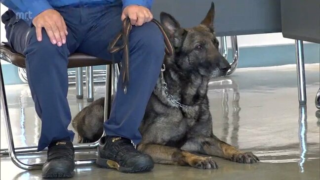 犯罪捜査や行方不明者の捜索などで活躍が期待　小林警察署で警察犬と指導士に嘱託書|TBS NEWS DIG