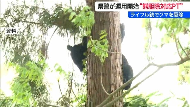 「ライフル銃を使った駆除が可能に」新潟県警がクマ駆除対応プロジェクトチーム運用開始|TBS NEWS DIG
