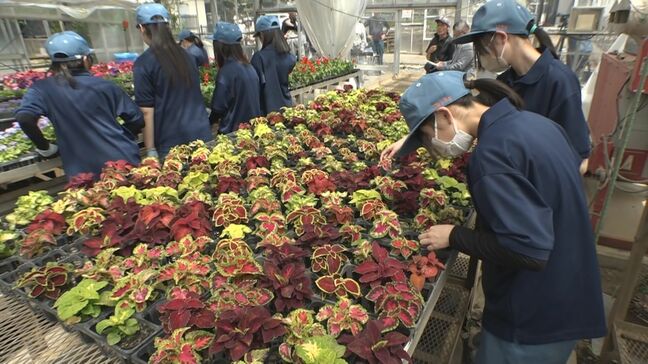 【こども未来】農業科の生徒が初めて花の苗の販売会 長野県・佐久市|TBS NEWS DIG