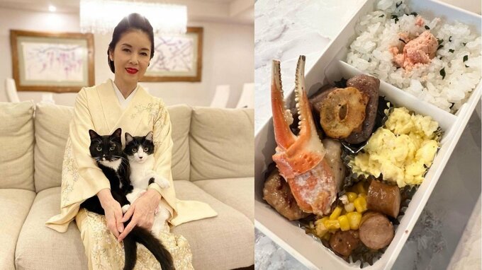 【 藤あや子 】孫娘 “JK” に豪華お弁当「あや弁」を製作　猛暑でも愛猫たちはマイペース「おそときもちいいよ」|TBS NEWS DIG