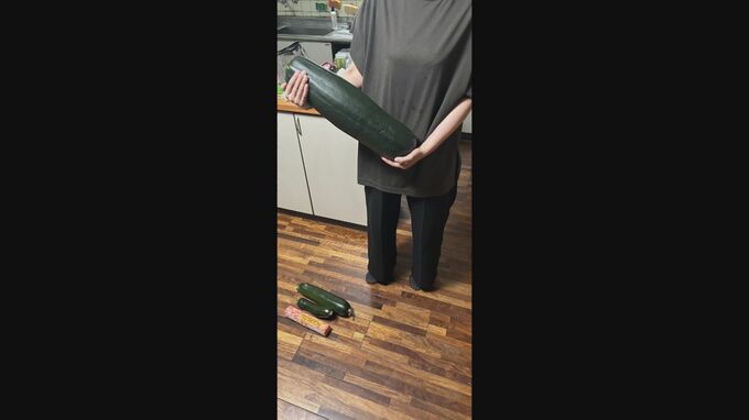 人間の赤ちゃんサイズ「巨大ズッキーニ」採れた　重さ4.5キロ「1人で畑で叫びました」　|　BSSニュース | BSS山陰放送