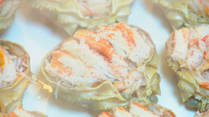 「機械で出来れば楽なんですけど…」香箱ガニをまるごと1杯詰める贅沢な「かに面」老舗金沢おでん店のこだわりとは|TBS NEWS DIG