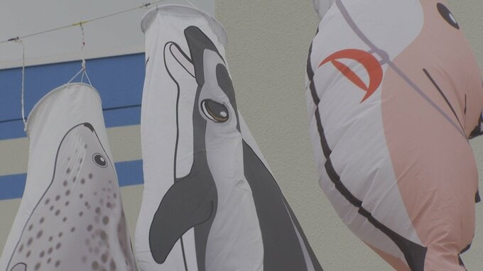 2026年も春の大空泳ぐイルカたち　浅虫水族館ならでは「こいのぼり」ならぬ「いるかのぼり」　ホタテ・ホヤ・ニホンザリガニなど17種類の水生生物も空泳ぐ|TBS NEWS DIG