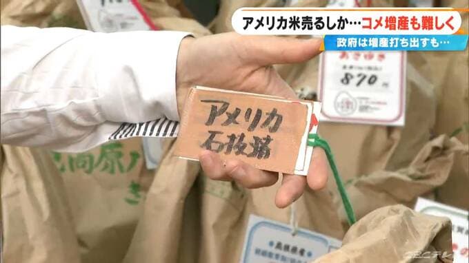 ｢国の政策がコロコロ変わって本当に困る｣ コメ価格高騰で異変 増産は難しく輸入米を売るしかない…アメリカ米の味は？【大石邦彦が現場取材】 |TBS NEWS DIG