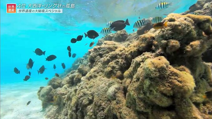 「撮影は本当に大変です」、放送28年目「世界遺産」番組スタッフが選んだ“世界遺産の秘境3選”|TBS NEWS DIG