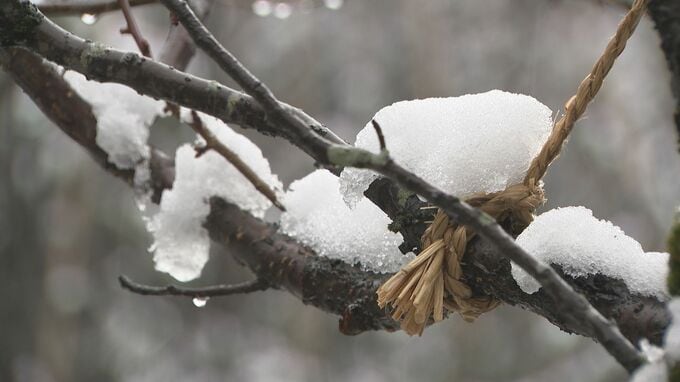 冬型強まり石川県内では断続的に雪が降り続く 3日午前まで強い冬型の気圧配置は続き 午後には次第に緩む見込み|TBS NEWS DIG