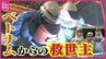 造船業で全国初取得！外国人労働者資格「特定技能２号」とは？ ベトナム人３人の仕事ぶりに密着　人材不足が深刻な地方で戦力として期待　|　RCC NEWS | 広島ニュース | RCC中国放送