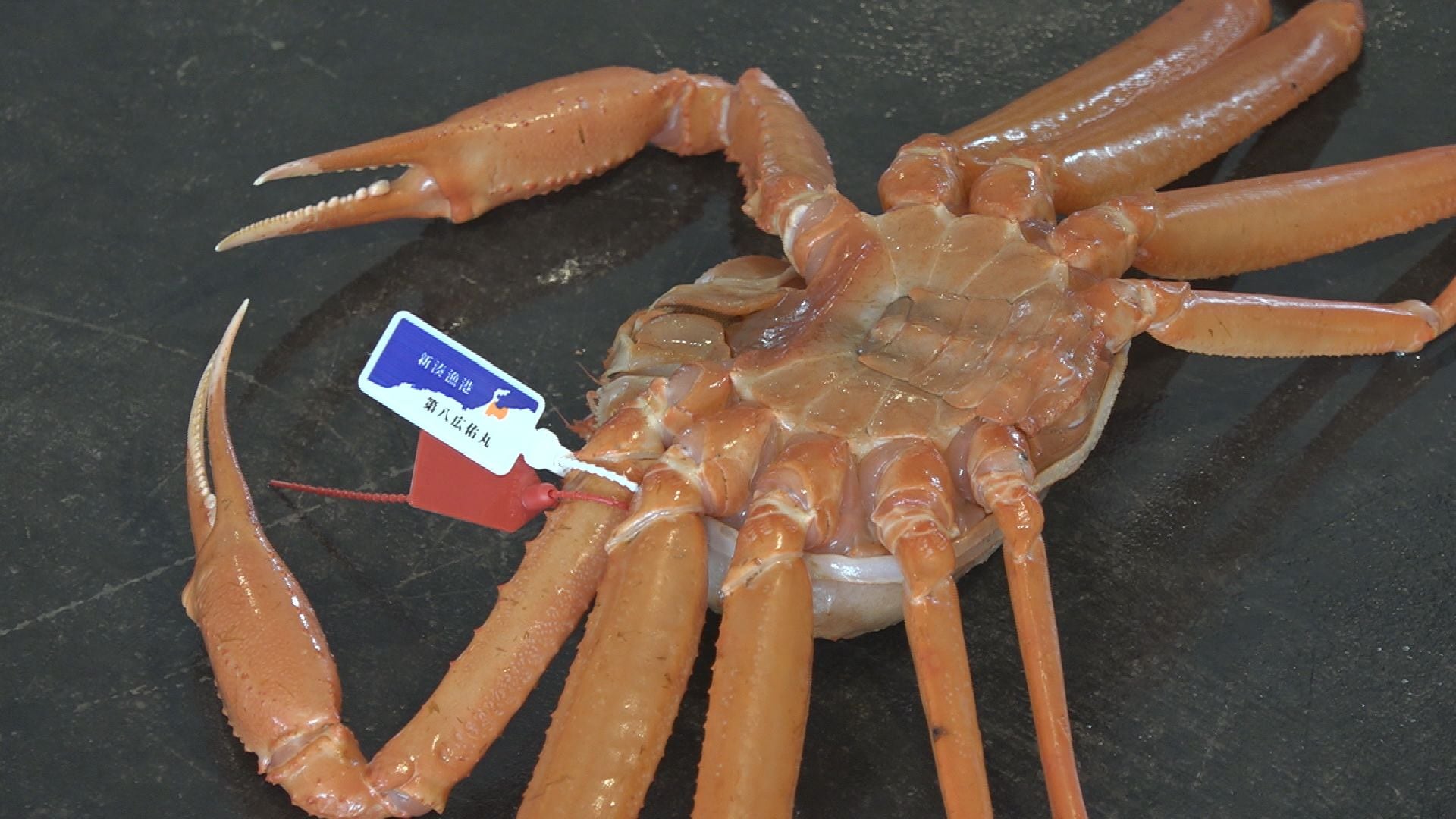 蟹ページ DeepSeaRedCrab 干し蟹 | 暮らす仙台