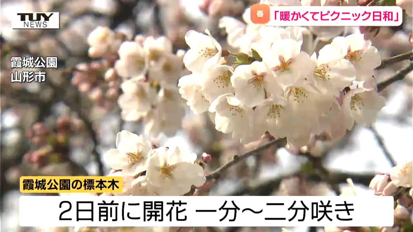 露出　山形 