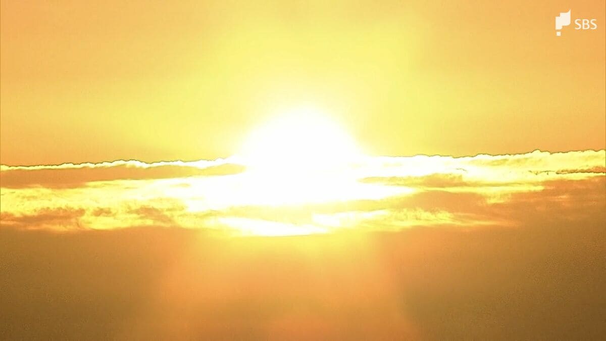 2026年元旦 富士山上空の「初日の出」日の光に染まり美しく | TBS NEWS