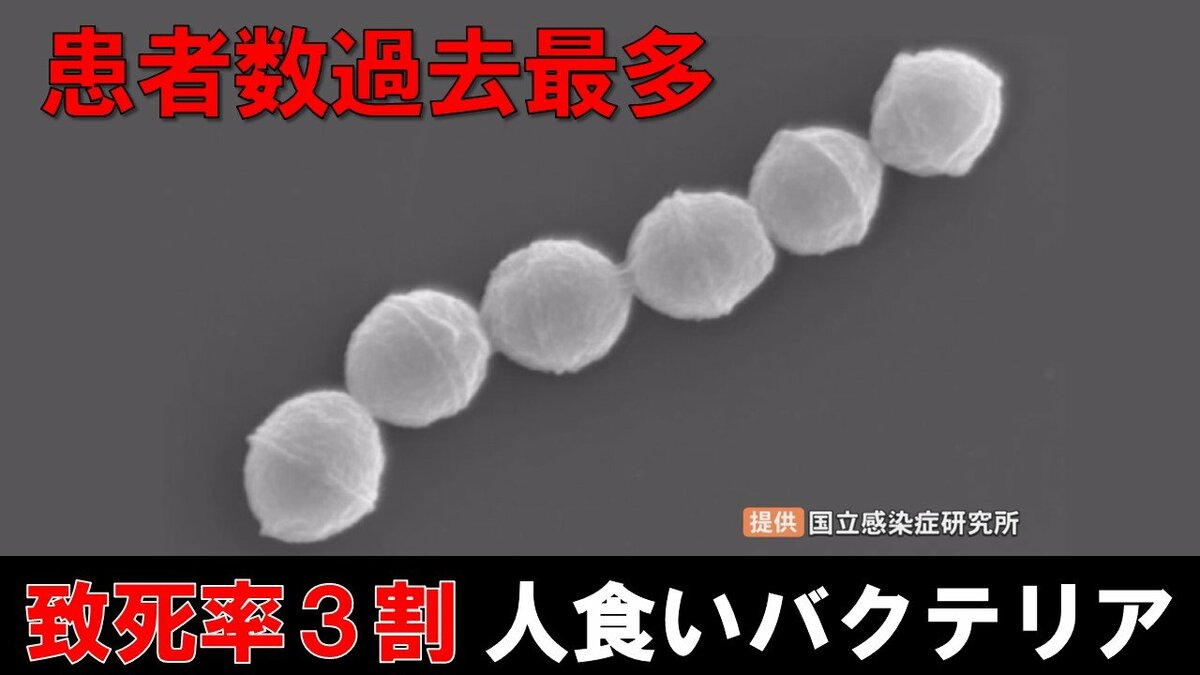 壊死 性 筋 膜 炎 人 食い バクテリア