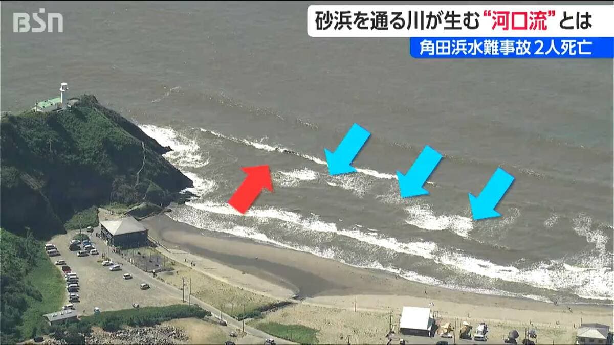 サムネイル_きょうだい2人が亡くなった水難事故　原因は“離岸流ではない沖への流れ”か　専門家が指摘する“河口流”　新潟市西蒲区