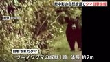 「鹿はいるが、熊出没情報は初めて」自然歩道でクマの目撃情報 自然歩道を封鎖し注意呼びかけ 広島県府中町|TBS NEWS DIG