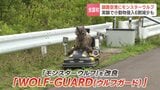 航空機の安全運航を守る“オオカミ”釧路空港にモンスターウルフ導入…実証実験で小動物侵入6割減少「威厳があって安全運航に寄与すると確信」|TBS NEWS DIG