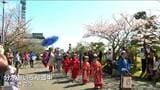 「分水おいらん道中」開催　豪華絢爛な衣装で満開の桜並木を練り歩く　華麗な時代絵巻が観客魅了　新潟県燕市　|　新潟のニュース・天気｜BSN NEWS｜BSN新潟放送