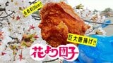「青森市ではこれを食べる!」全長約20㎝の巨大唐揚げ! 花見の屋台グルメ | 青森のニュース│ATV NEWS│青森テレビ