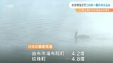 大分市でこの秋一番の冷え込み 「寒暖差アレルギー」にはマスク着用で保温を | 大分のニュース|OBS NEWS|大分放送