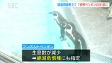 ペンギン通じて環境問題を考えて！２５日の「世界ペンギンの日」を前に長野市の動物園でイベント　|　SBC NEWS | 長野のニュース | SBC信越放送