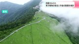 四国カルスト 希少植物の保全と今後の整備を検討 観光客へのアンケート結果「総合的な満足度は極めて高い」 | 高知のニュース・天気|KUTV NEWS | KUTVテレビ高知