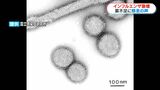 インフルエンザ過去最多8500人超 感染急拡大で薬不足の懸念「薬使う症状限っていくことも」 鹿児島 | 鹿児島のニュース|MBC NEWS|南日本放送