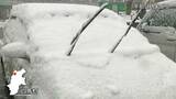 北部の山沿い中心に雪…冬型の気圧配置の影響で15日も北部山沿いなどで雪 長野 | SBC NEWS | 長野のニュース | SBC信越放送