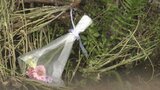 「娘は命だけでなく尊厳すら奪われた」被害女性の母親が法廷で心情を語る 検察は懲役22年を求刑|TBS NEWS DIG