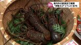 「伊勢えび」を堪能 宮崎県内の飲食店で開催されるイベントを関係者がPR | MRTニュース | MRT宮崎放送