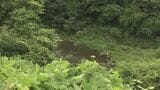 「気づく間もなく…」猛禽類の生息調査中 クマに襲われ2人けが 福島・下郷町 | 福島のニュース│TUF