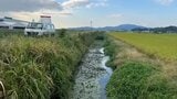 【速報】体長およそ1メートルの『大型トカゲ』が目撃される 近隣住民の人は十分に気をつけてください | 熊本のニュース|RKK NEWS|RKK熊本放送
