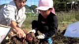 「焼き芋食べる」園児と高校生が一緒にサツマイモ収穫　農作物育てる魅力伝える＝静岡・南伊豆町　|　静岡のニュース | SBSNEWS | 静岡放送